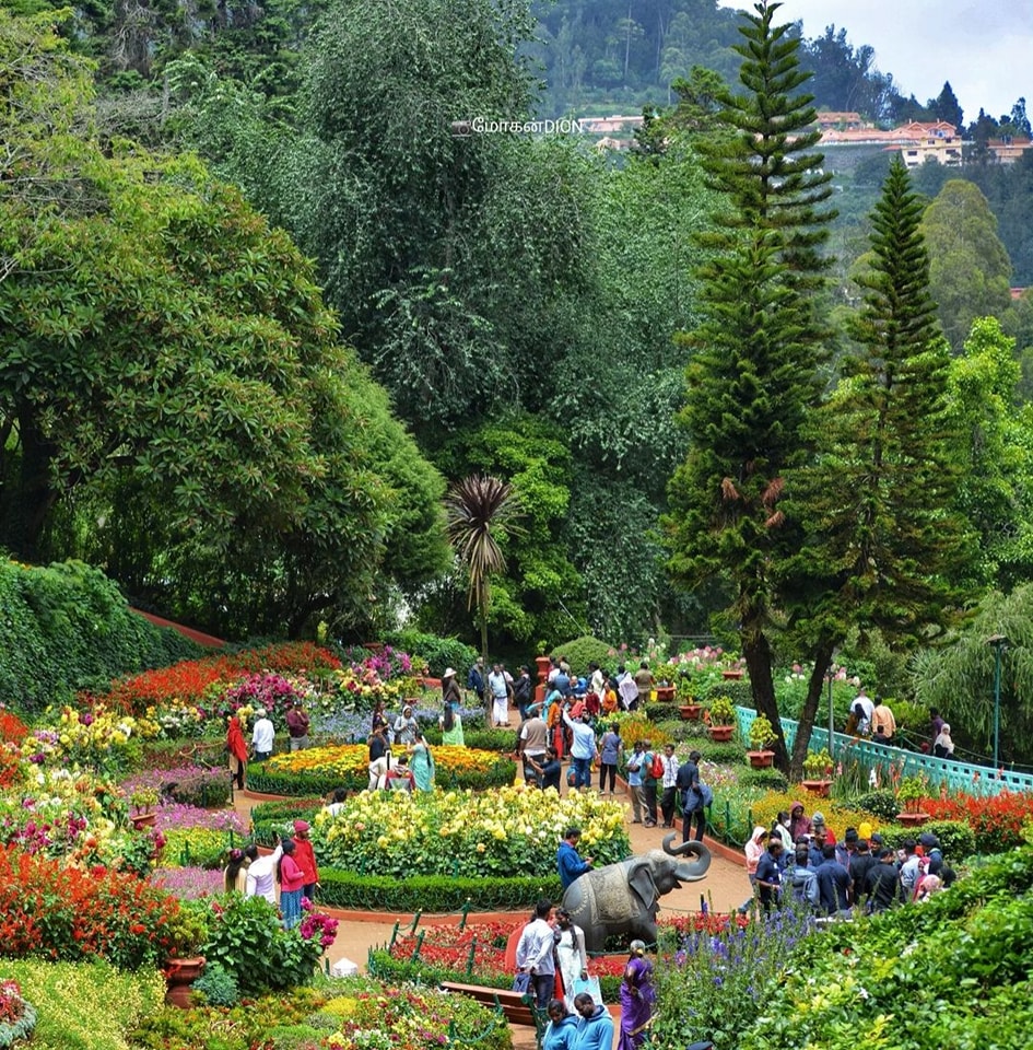Ooty Sightseeing Taxi service